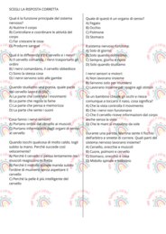 Prova di verifica sul sistema nervoso classe quinta primaria