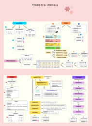 Mappa analisi grammaticale