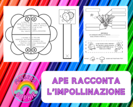 APE RACCONTA L'IMPOLLINAZIONE E LA FECONDAZIONE DEI FIORI