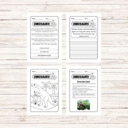 Dinosaurs reading comprehension - Lettura e comprensione in inglese