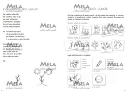 Il laboratorio delle scienze - libro con canzoni