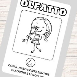 Libretto dei 5 sensi