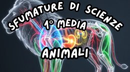 Animali_KIT MULTIMODALE SCIENZE 1°media_slide+ infografica+ mappa mentale+ disegno da colorare+VERIFICA LE COMPETENZE+OMAGGIO:VIDEO&PODCAST
