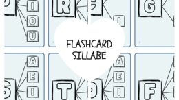 FLASHCARD SULLE SILLABE