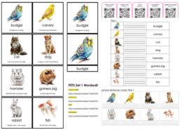 Vocabulary Enrichment Set: Pets SET 1
