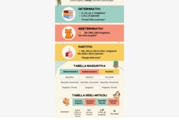 Gli articoli - infografica ed esercizi