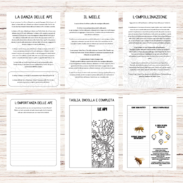 Le api e il miele - schede didattiche