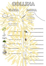 Flora e fauna della collina - geografia classe seconda