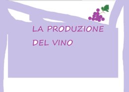 LA PRODUZIONE DEL VINO - MAPPA CONCETTUALE