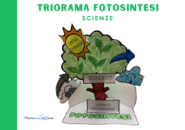 Triorama FOTOSINTESI (tecnologia e scienze)
