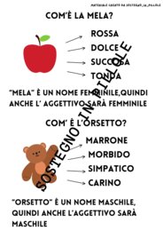 Gli aggettivi qualificativi e possessivi