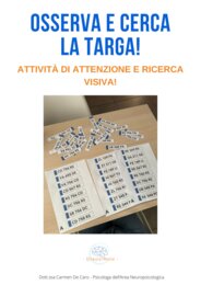 "Osserva e cerca la TARGA identica a quella del modello!"