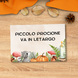 Storia per kamishibai “Piccolo procione va in letargo”