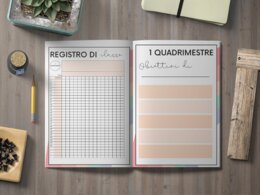 REGISTRO DEL DOCENTE