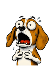 🐶 “Shock Dog” – Il cane più espressivo del web