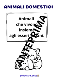 COSTRUISCO IL MIO LIBRETTO DEGLI ANIMALI