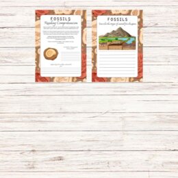 Reading comprehension - Fossils