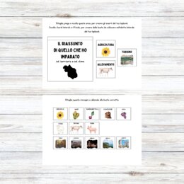 Lapbook Marche scuola primaria da stampare