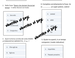 Verifiche sui tempi e i modi (finiti e indefiniti) del verbo - primaria