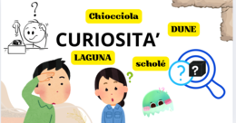 CURIOSITA' DI PAROLE: LAGUNA, DUNE,CHIOCCIOLA E SCHOLE'