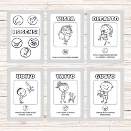 Libretto dei 5 sensi