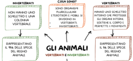 IL REGNO DEGLI ANIMALI