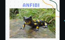 Gli animali vertebrati - presentazione ppt