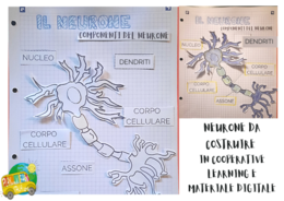 UN NEURONE DA COSTRUIRE IN COOPERATIVE LEARNING