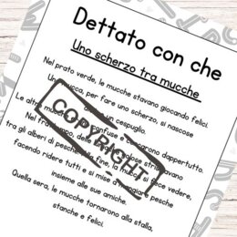 Dettati classe seconda