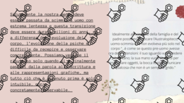 Non chiamatemi mammo - Elaborato
