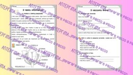 Tipologie testuali: lettura, comprensione e altro