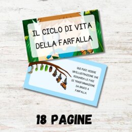 Ciclo di vita della farfalla PDF - presentazione