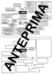 MAPPA MENTALE DELL'ARIA - SCUOLA PRIMARIA - DALLA CLASSE TERZA