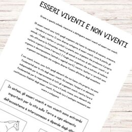 Schede didattiche esseri viventi e non viventi