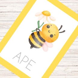 Schede sulle api per la scuola dell'infanzia