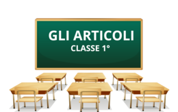 GLI ARTICOLI SPIEGAZIONE
