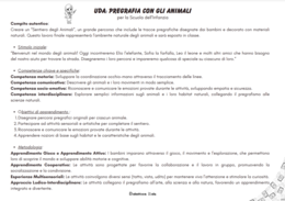 Pacchetto 6 Unità Didattiche di Apprendimento (UDA)
