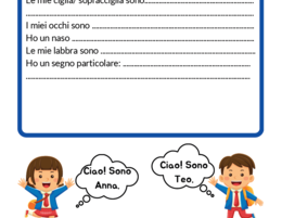 La descrizione del viso