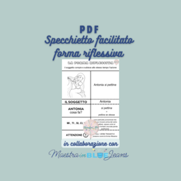 Specchietto forma riflessiva