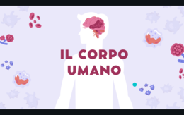 Presentazione ppt APPARATO LOCOMOTORE (scheletrico e muscolare)