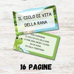 Ciclo di vita della rana
