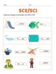 SCE - SCI
