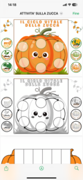 Lapbook zucca