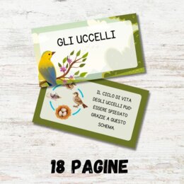Gli uccelli scuola primaria PDF - presentazione