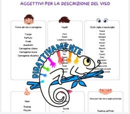 La descrizione del viso