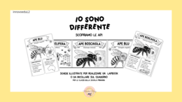 Le api. Io sono differente.