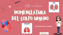 KIT DIDATTICO DEL CORPO UMANO