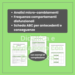 Modulo 6: Schede di Osservazione Specifiche per Abilità e Comportamenti | Registro Sostegno Editabile