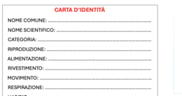CARTA D'IDENTITA' DEGLI ANIMALI