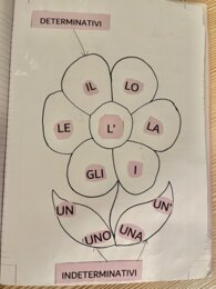 IL FIORE DEGLI ARTICOLI